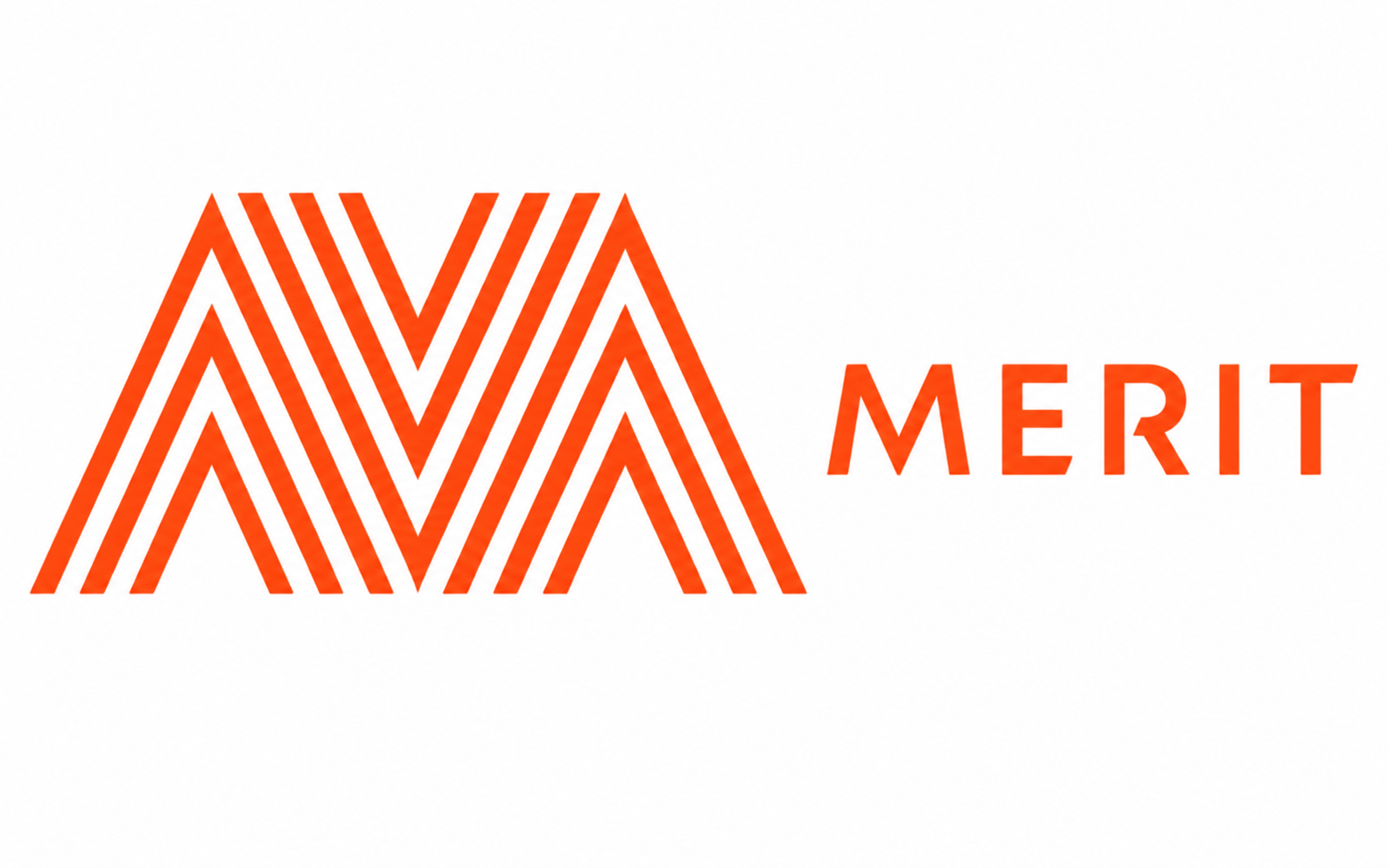 Merit Software